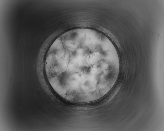 X0000087510625200705180955