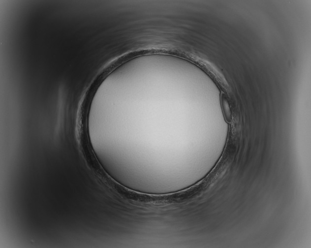 X0000087510628200705180955
