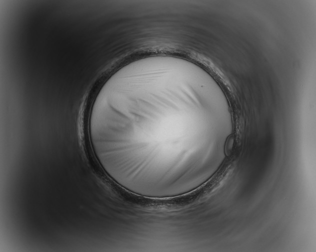 X0000087510629200705180955