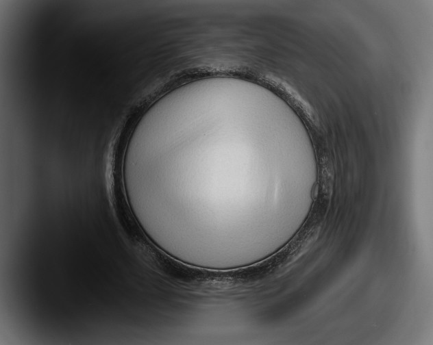 X0000087510631200705180955