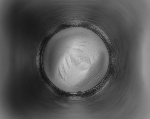 X0000087510633200705180955