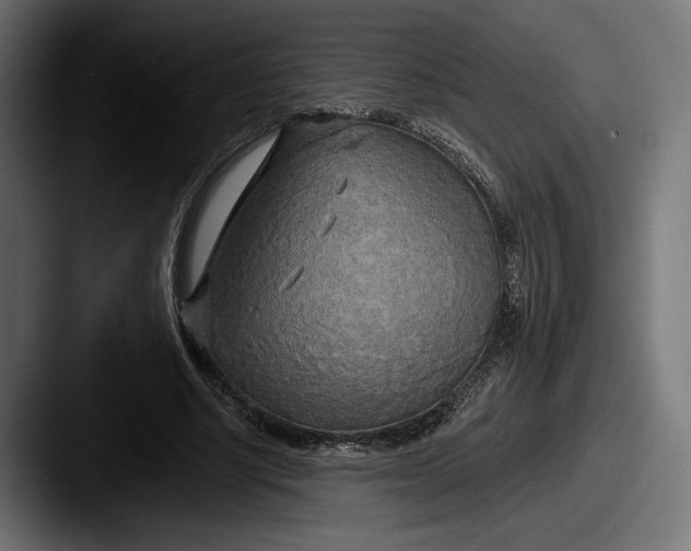 X0000087510634200705180955
