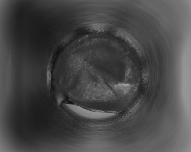 X0000087510637200705180955