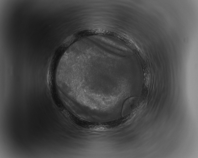 X0000087510643200705180955