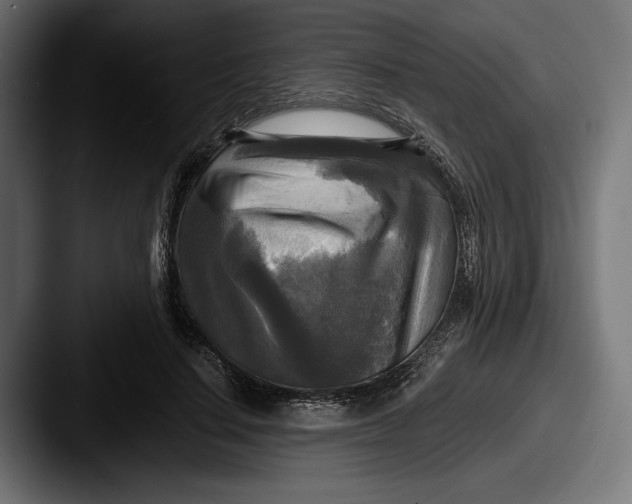X0000087510644200705180955
