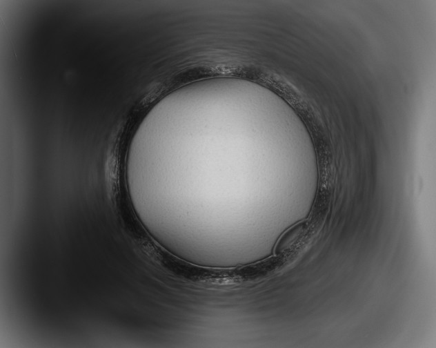 X0000087510646200705180955