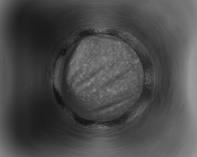 X0000087510648200705180955