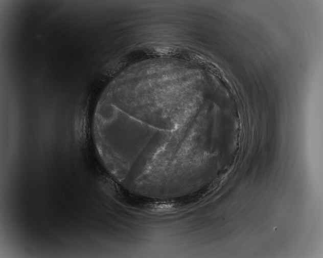 X0000087510651200705180955