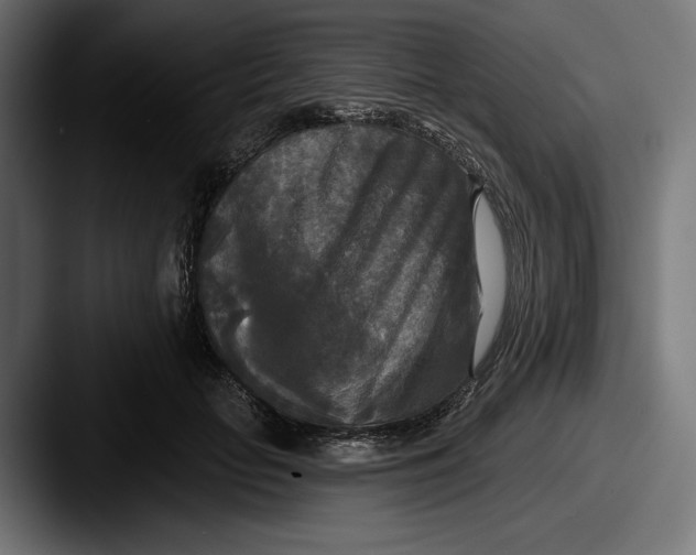 X0000087510653200705180955