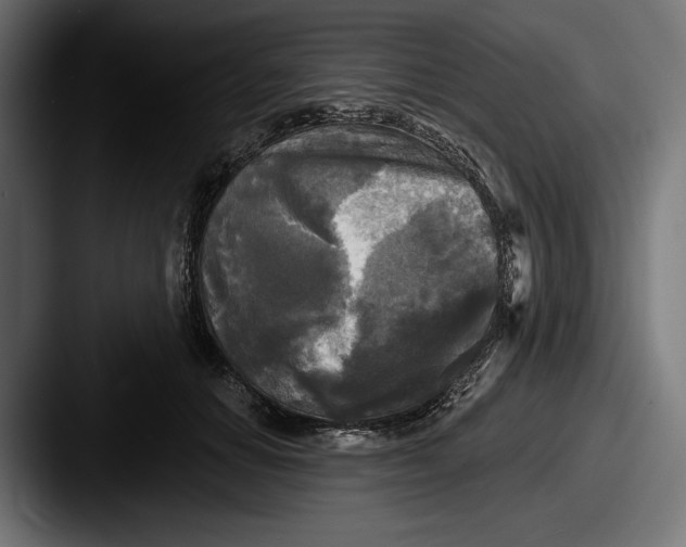 X0000087510654200705180955