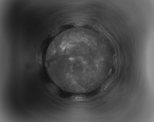X0000087510655200705180955