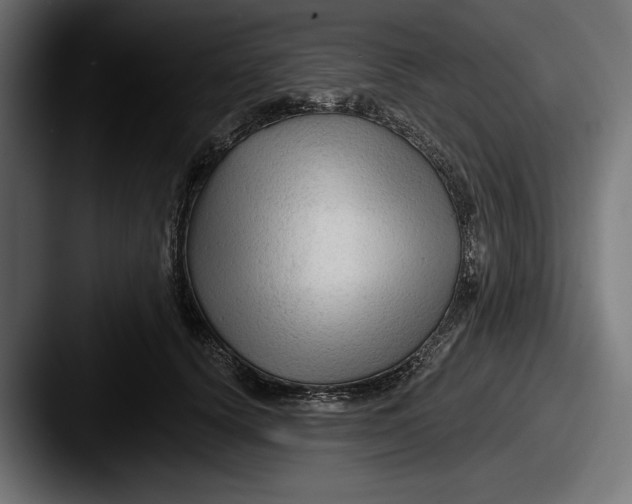 X0000087510656200705180955
