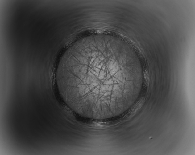 X0000087510657200705180955