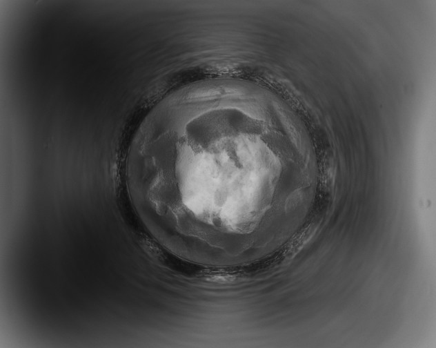X0000087510658200705180955
