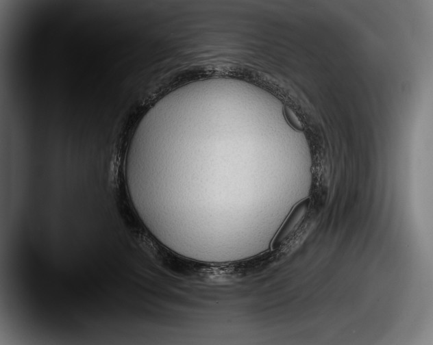 X0000087510660200705180955