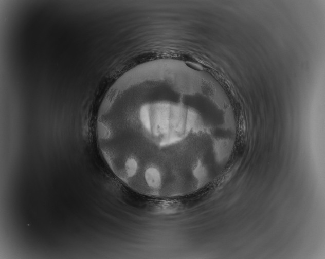 X0000087510663200705180955