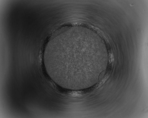 X0000087510664200705180955