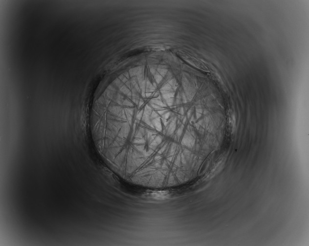 X0000087510665200705180955
