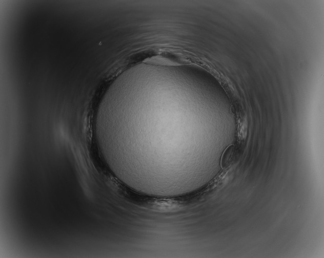 X0000087510666200705180955
