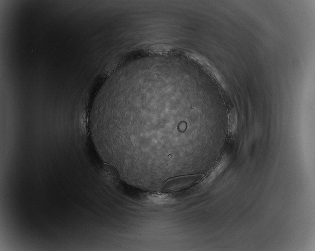 X0000087510669200705180955