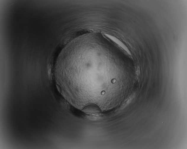 X0000087510671200705180955