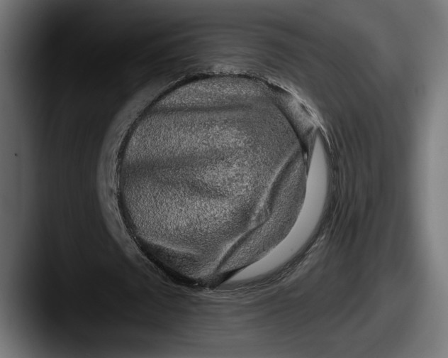 X0000087510673200705180955
