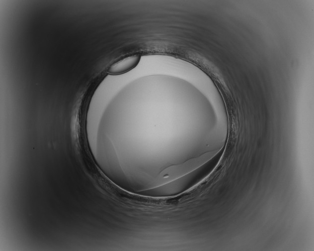 X0000087510674200705180955
