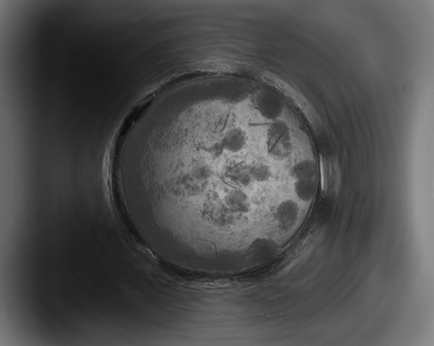 X0000087510675200705180955
