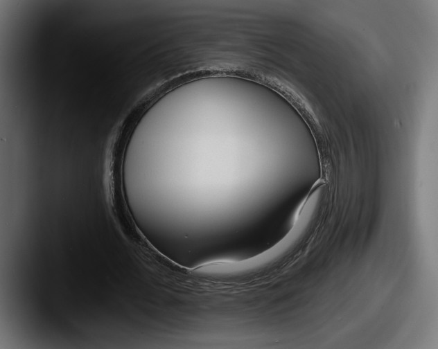 X0000087510676200705180955
