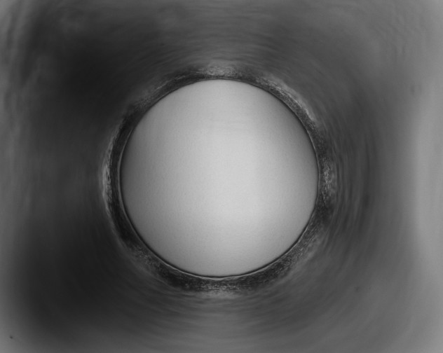 X0000087510682200705180955