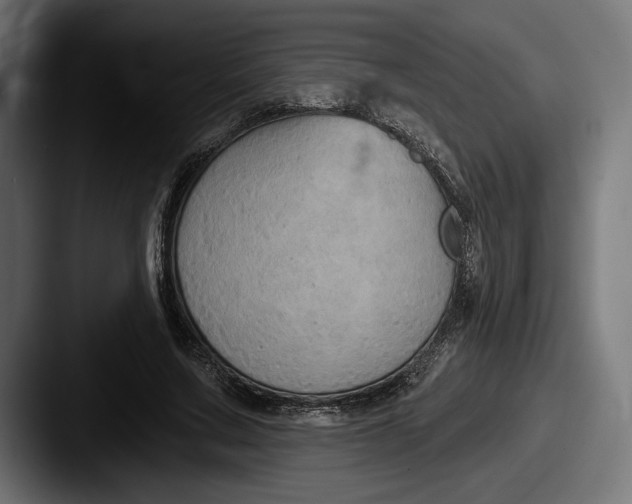 X0000087510683200705180955
