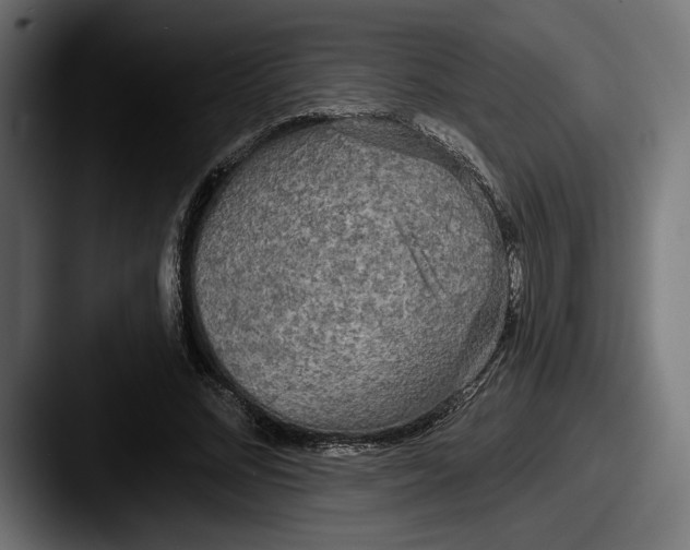 X0000087510684200705180955