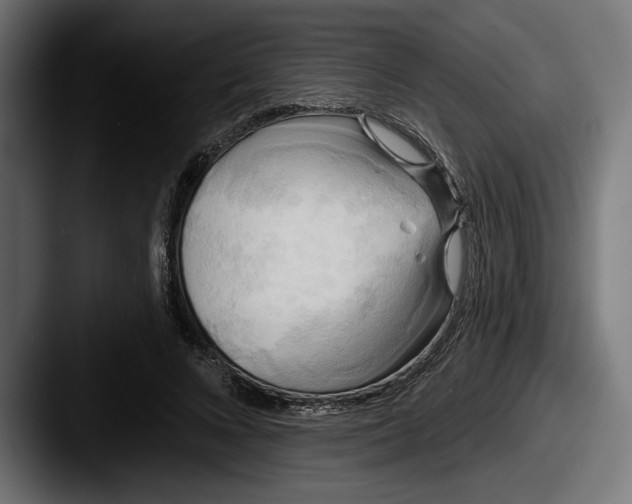 X0000087510688200705180955