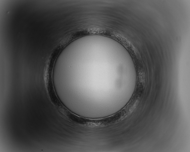 X0000087510690200705180955