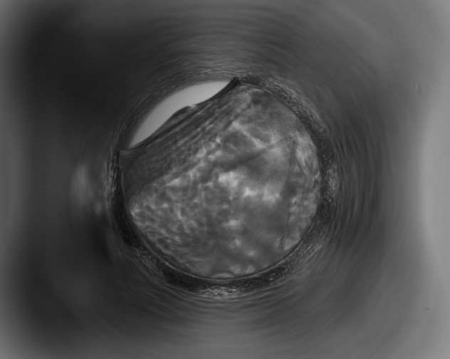 X0000087510691200705180954