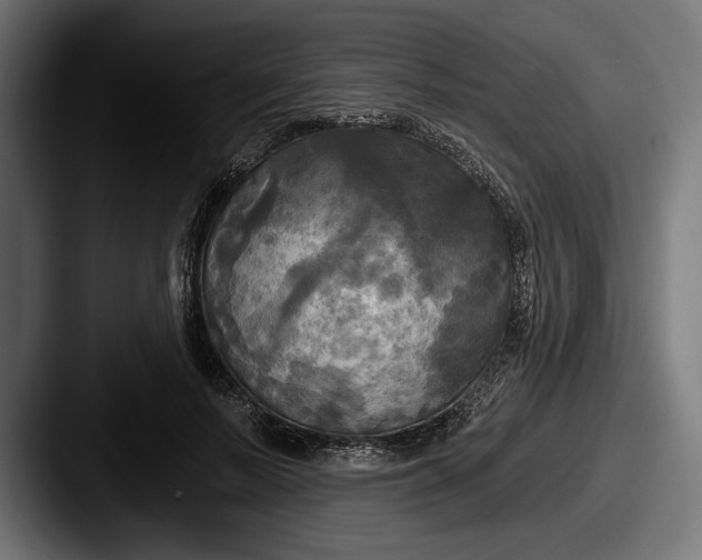 X0000087510695200705180954