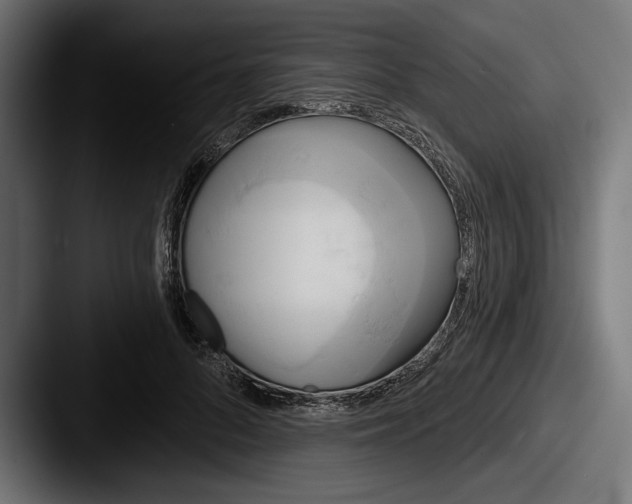 X0000087510696200705180954