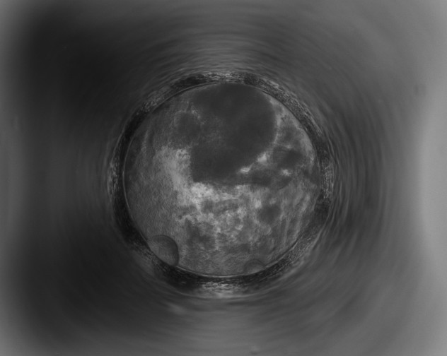 X0000087510699200705180954