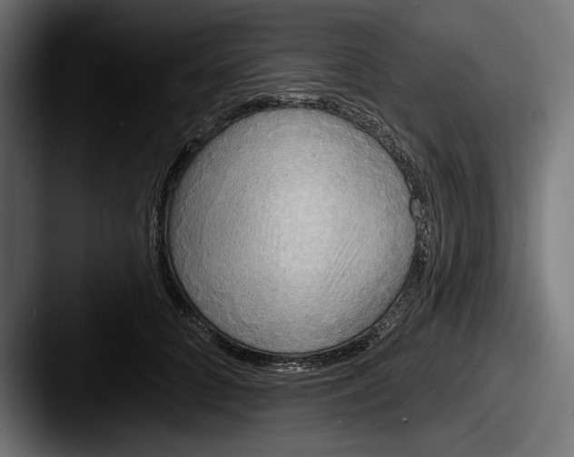 X0000087510704200705180954