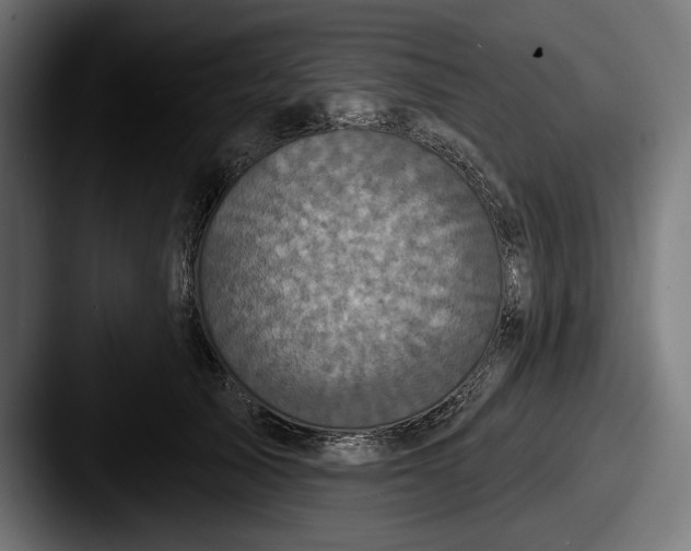 X0000087510705200705180954