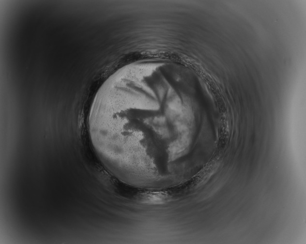 X0000087510711200705180954