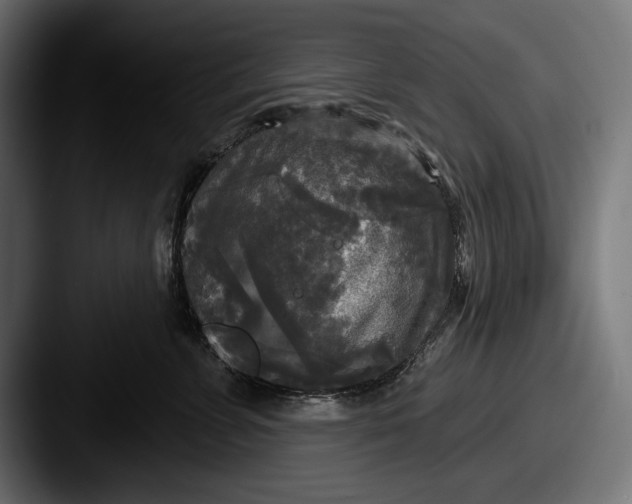 X0000087510715200705180954