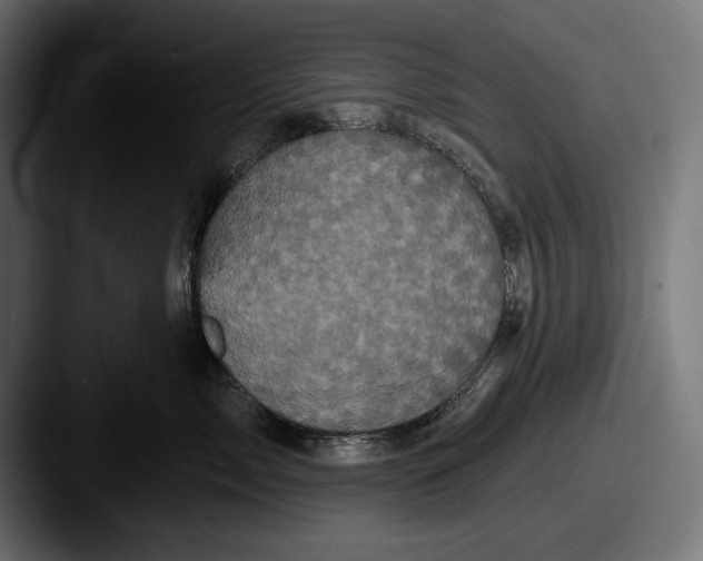 X0000087510717200705180954