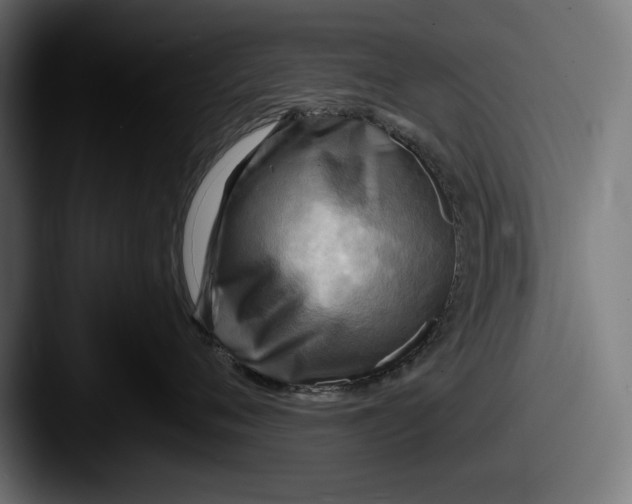 X0000087510720200705180954