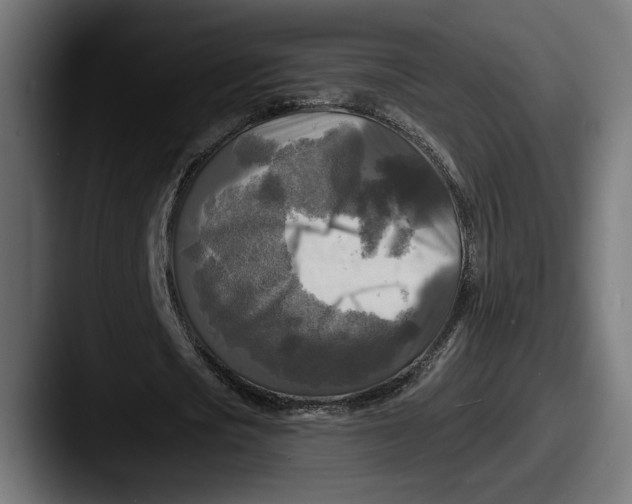 X0000087510721200705180954