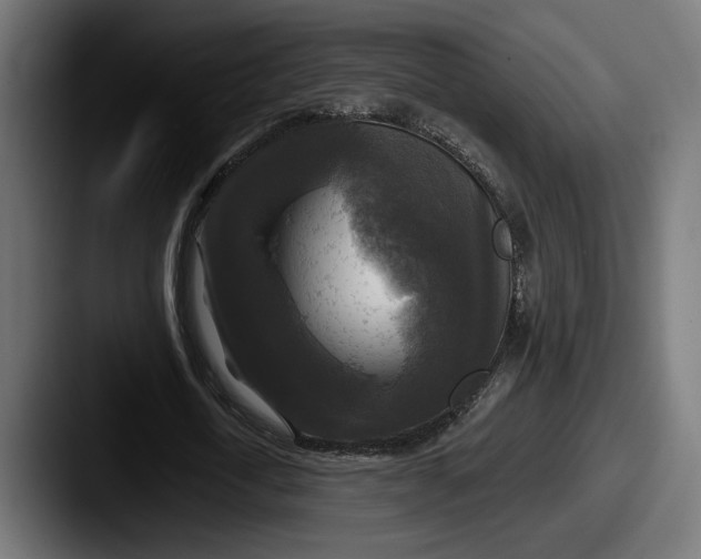 X0000087510722200705180954