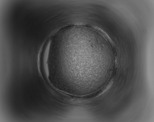 X0000087510725200705180954
