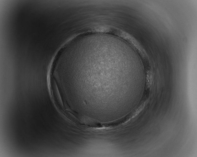 X0000087510726200705180954