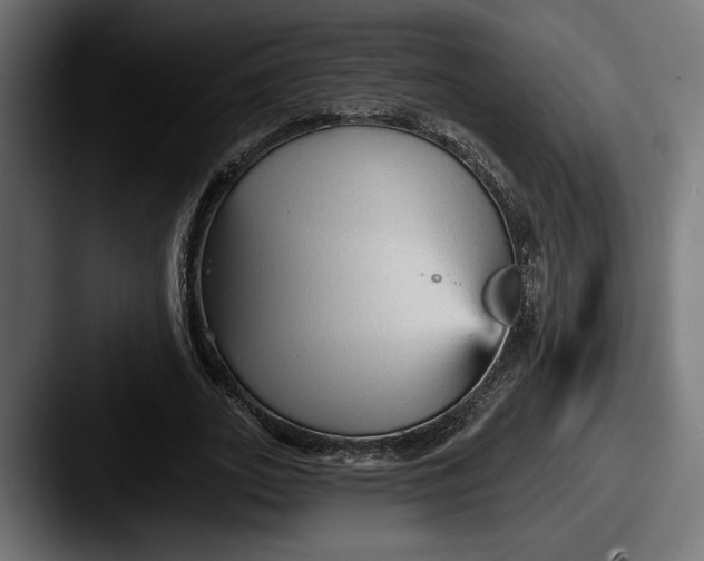X0000087510727200705180954