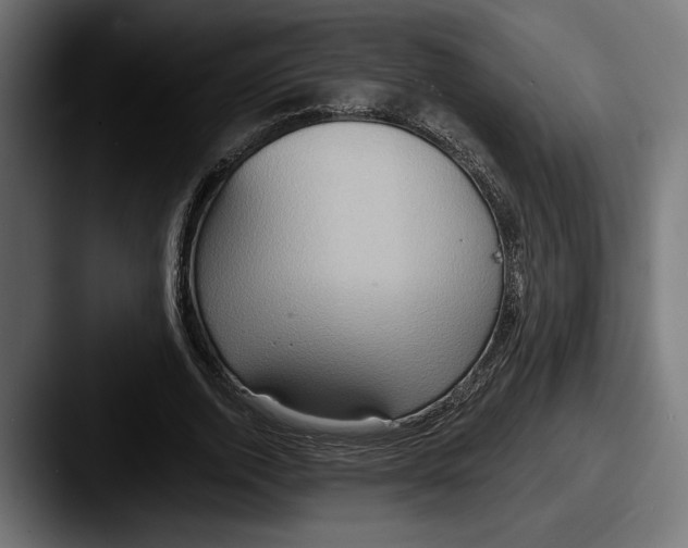 X0000087510728200705180954